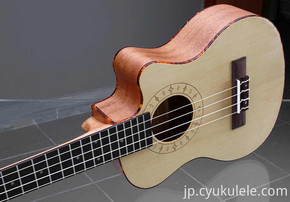 ukulele31 ukulele31
